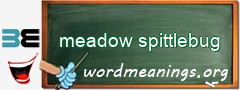 WordMeaning blackboard for meadow spittlebug